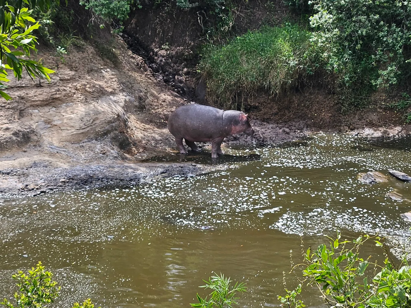 Soroi Private Wing - Maasai Mara hotel view 5